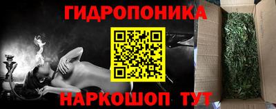 Альфа ПВП Обь