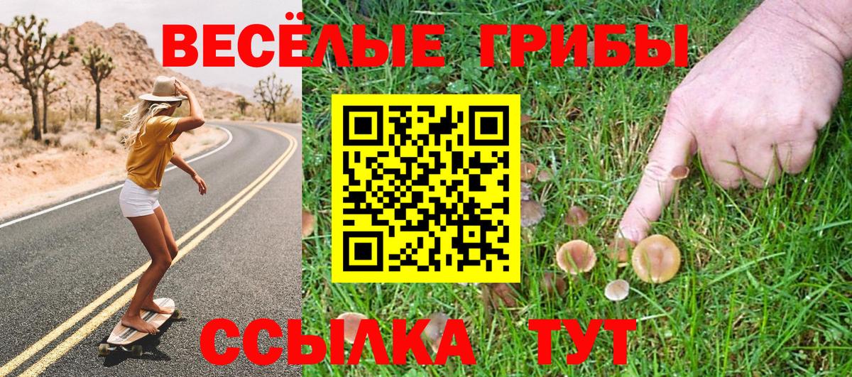 Псилоцибиновые грибы прущие грибы  Вход с VPN  Тосно 